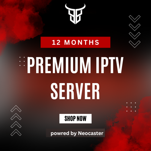 12 Months iptv Subscription